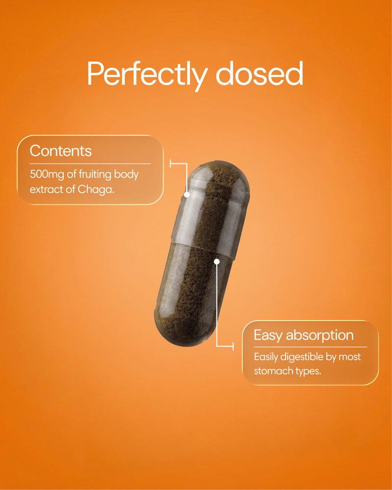 Clearly Chaga capsules in a blister pack, showing dark brown herbal supplement capsules for immune support and natural wellness.