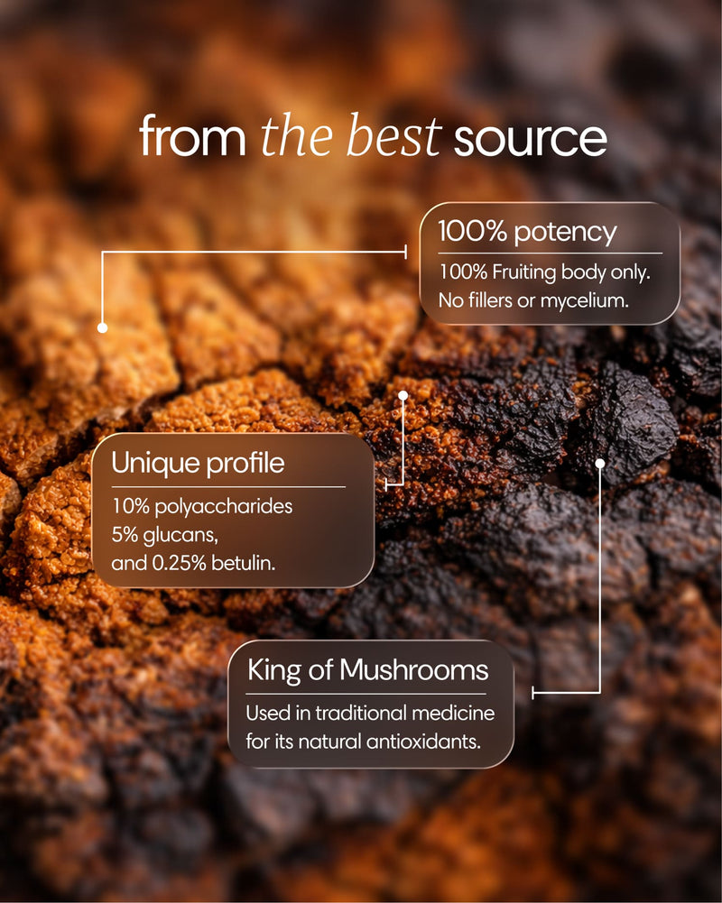 Clearly Chaga capsule bottle with capsules inside, highlighting the supplement's natural Chaga mushroom ingredients.