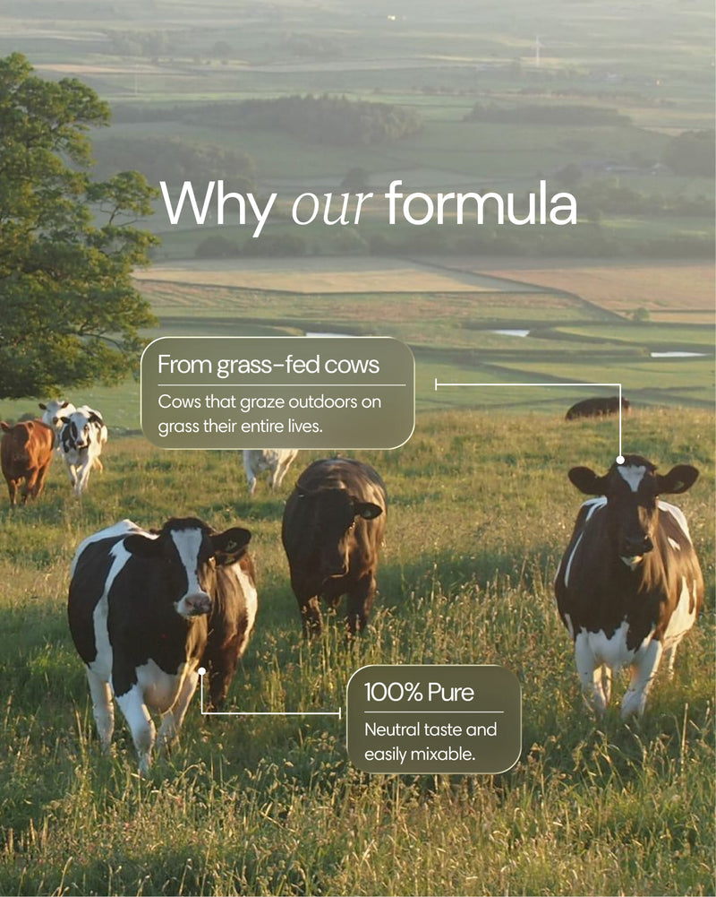 Clearly grass-fed collagen powder in a container, with the powder and ingredients visible in the image.