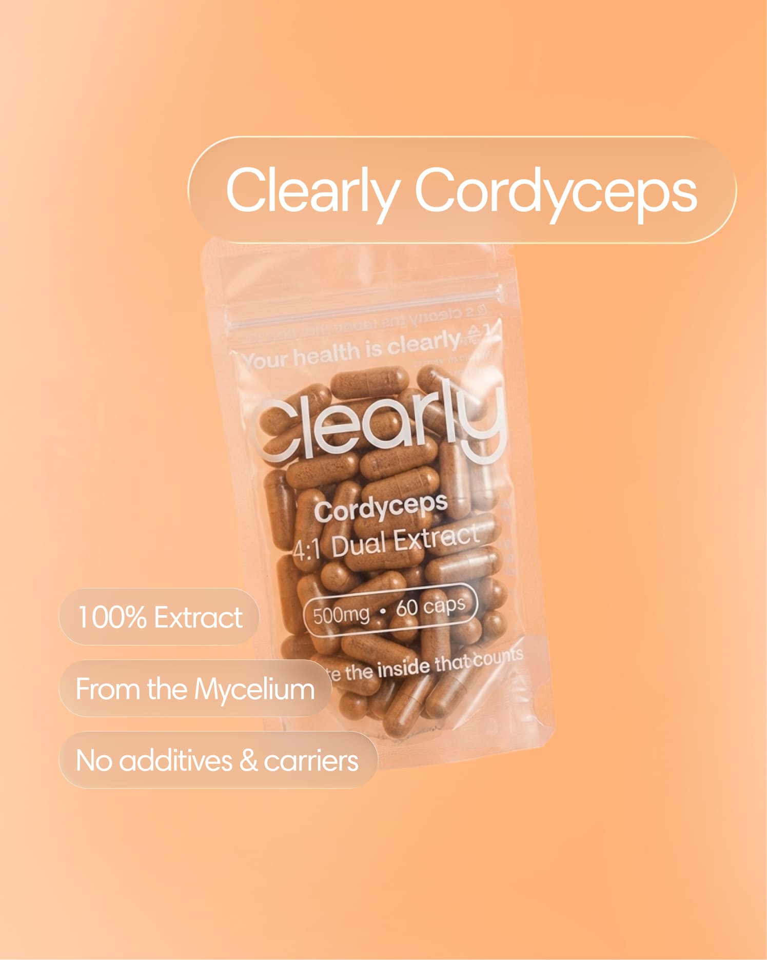 Cordyceps