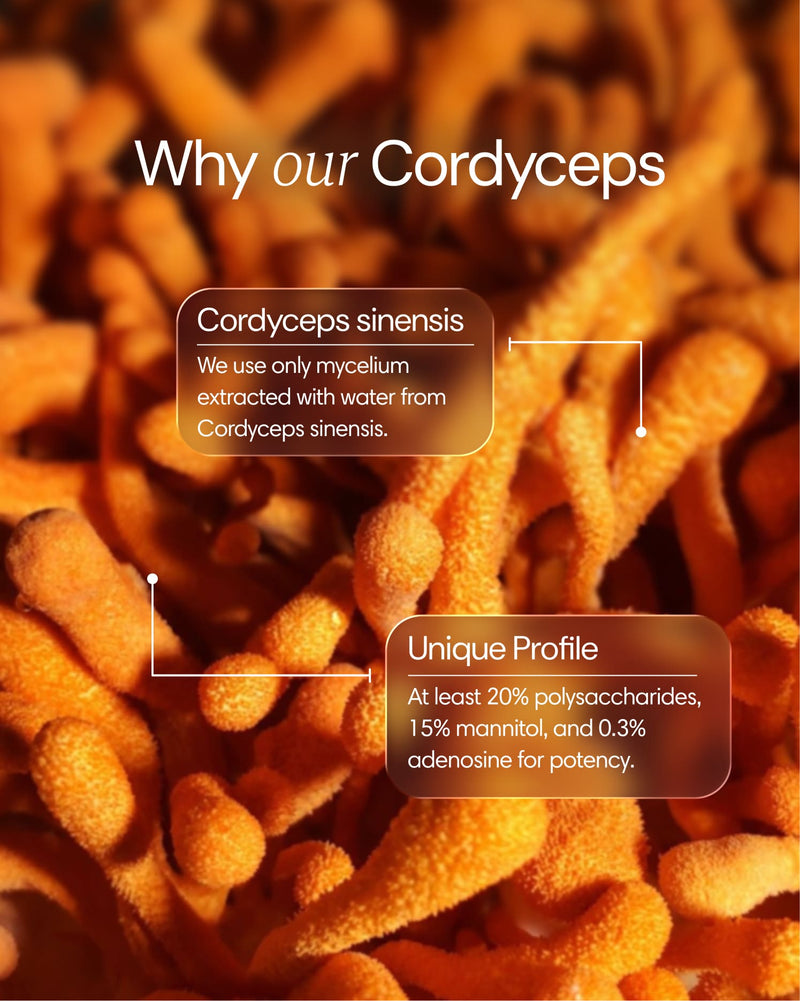 Clearly Cordyceps capsules featuring natural extract ingredients in a sleek blister pack for dietary supplement use.